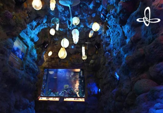 藍冠網址一家由外國打造的油田展館設計案例